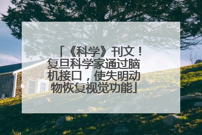 《科学》刊文！复旦科学家通过脑机接口，使失明动物恢复视觉功能