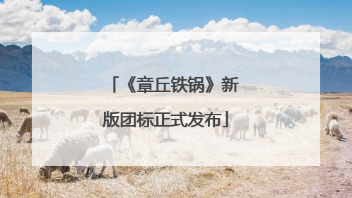 《章丘铁锅》新版团标正式发布