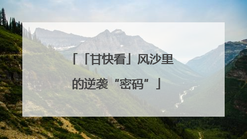 「甘快看」风沙里的逆袭“密码”
