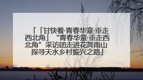 「甘快看·青春华章·重走西北角」“青春华章·重走西北角”采访团走进花舞南山 探寻天水乡村振兴之路
