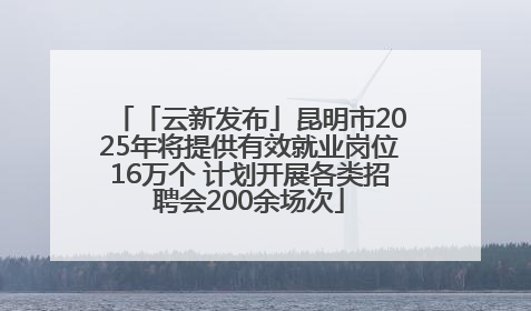 「云新发布」昆明市2025年将提供有效就业岗位16万个 计划开展各类招聘会200余场次