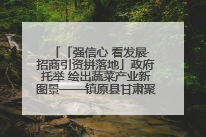 「强信心 看发展·招商引资拼落地」政府托举 绘出蔬菜产业新图景——镇原县甘肃聚广利现代设施蔬菜种植基地见闻