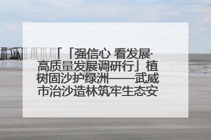 「强信心 看发展·高质量发展调研行」植树固沙护绿洲——武威市治沙造林筑牢生态安全屏障见闻
