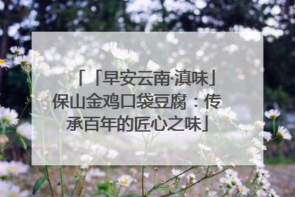 「早安云南·滇味」保山金鸡口袋豆腐：传承百年的匠心之味