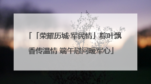 「荣耀历城·军民情」粽叶飘香传温情 端午慰问暖军心
