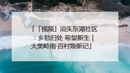「视频」汕头东湖社区：乡愁归处 希望新生｜大美岭南·百村焕新记