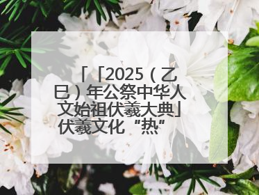 「2025（乙巳）年公祭中华人文始祖伏羲大典」伏羲文化“热” 天水文旅“火”