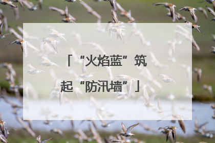 “火焰蓝”筑起“防汛墙”