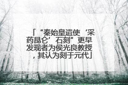 “秦始皇遣使‘采药昆仑’石刻”更早发现者为侯光良教授，其认为刻于元代