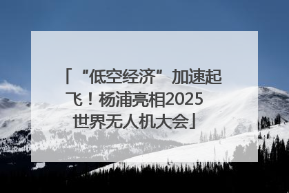 “低空经济”加速起飞！杨浦亮相2025世界无人机大会