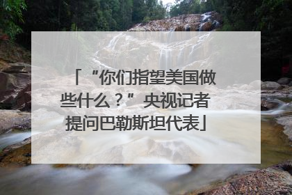 “你们指望美国做些什么？”央视记者提问巴勒斯坦代表