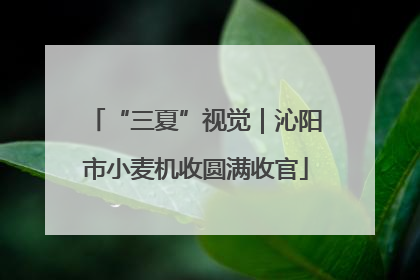 “三夏”视觉｜沁阳市小麦机收圆满收官