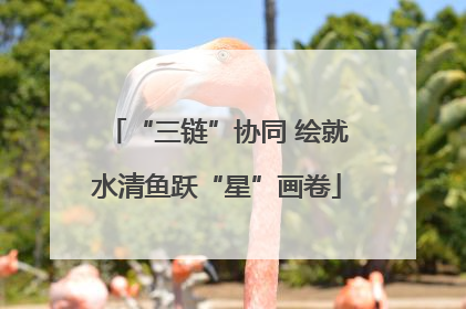 “三链”协同 绘就水清鱼跃“星”画卷