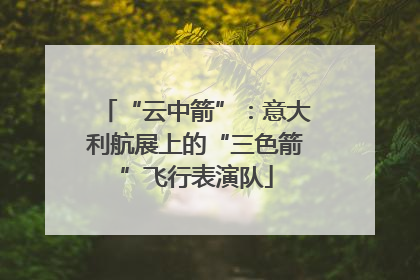 “云中箭”：意大利航展上的“三色箭”飞行表演队