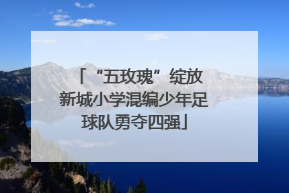 “五玫瑰”绽放 新城小学混编少年足球队勇夺四强