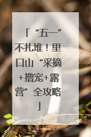 “五一”不扎堆！里口山“采摘+撸宠+露营”全攻略