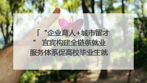 “企业育人+城市留才” 宜宾构建全链条就业服务体系促高校毕业生就业｜您牵挂的四川