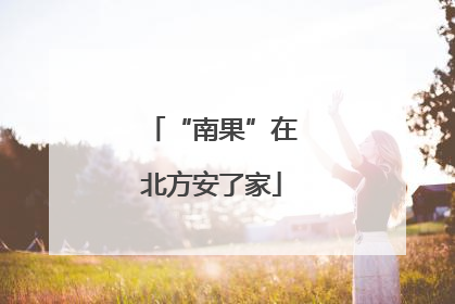 “南果”在北方安了家