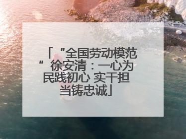 “全国劳动模范”徐安清：一心为民践初心 实干担当铸忠诚