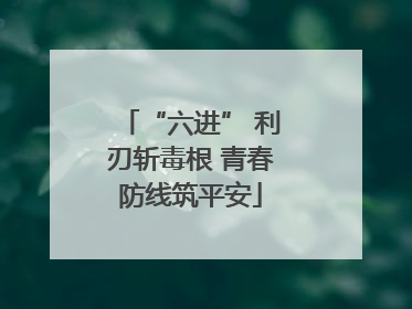 “六进” 利刃斩毒根 青春防线筑平安