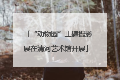 “动物园”主题摄影展在清河艺术馆开展