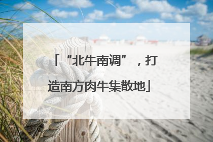 “北牛南调”，打造南方肉牛集散地