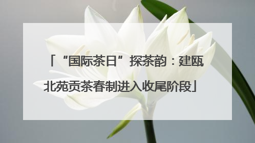 “国际茶日”探茶韵：建瓯北苑贡茶春制进入收尾阶段