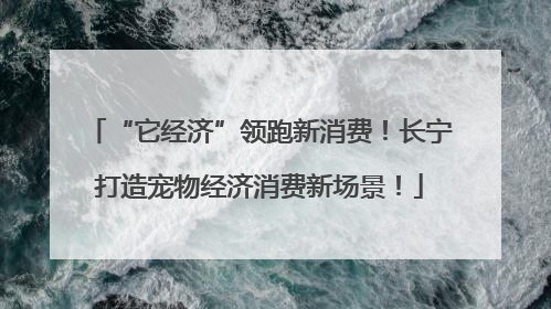 “它经济”领跑新消费！长宁打造宠物经济消费新场景！