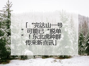 “完达山一号”可能已“脱单”！东北虎种群传来新喜讯