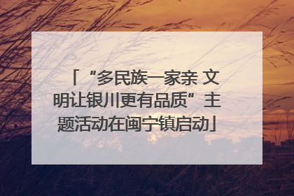 “多民族一家亲 文明让银川更有品质”主题活动在闽宁镇启动