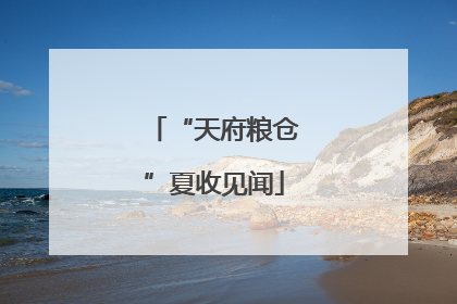 “天府粮仓”夏收见闻