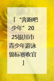 “奔跑吧少年”2025银川市青少年游泳锦标赛收官