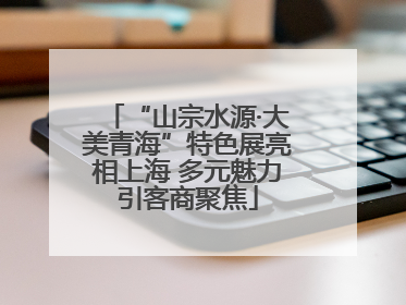 “山宗水源·大美青海”特色展亮相上海 多元魅力引客商聚焦