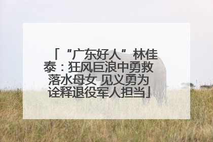 “广东好人”林佳泰：狂风巨浪中勇救落水母女 见义勇为诠释退役军人担当