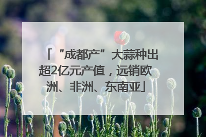 “成都产”大蒜种出超2亿元产值，远销欧洲、非洲、东南亚