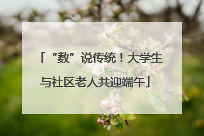 “数”说传统！大学生与社区老人共迎端午