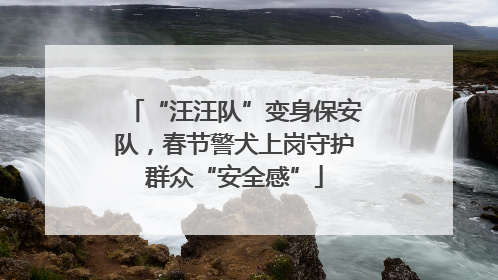 “汪汪队”变身保安队，春节警犬上岗守护群众“安全感”