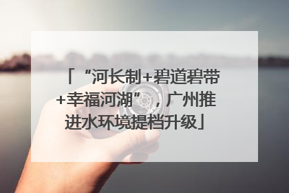 “河长制+碧道碧带+幸福河湖”，广州推进水环境提档升级