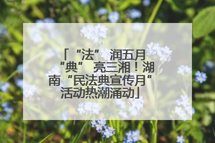 “法” 润五月 “典” 亮三湘！湖南“民法典宣传月”活动热潮涌动