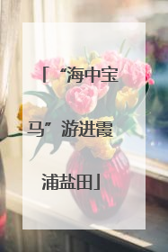 “海中宝马”游进霞浦盐田