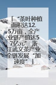 “茶叶种植面积达12.5万亩，全产业链产值达57亿元” 浙江武义茶产业全链发展“加速度”