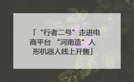 “行者二号”走进电商平台 “河南造”人形机器人线上开售