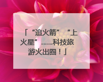 “追火箭”“上火星”……科技旅游火出圈！