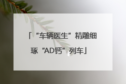 “车辆医生”精雕细琢“AD钙”列车
