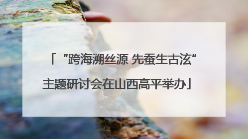 “跨海溯丝源 先蚕生古泫”主题研讨会在山西高平举办