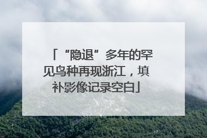 “隐退”多年的罕见鸟种再现浙江，填补影像记录空白