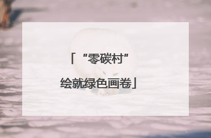 “零碳村” 绘就绿色画卷