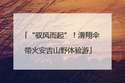 “驭风而起”！滑翔伞带火安吉山野体验游