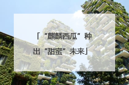 “麒麟西瓜”种出“甜蜜”未来
