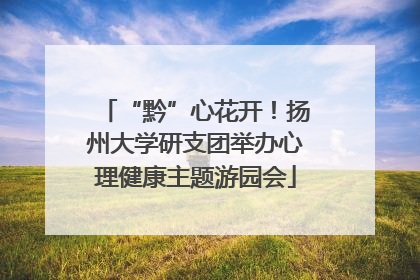 “黔”心花开！扬州大学研支团举办心理健康主题游园会